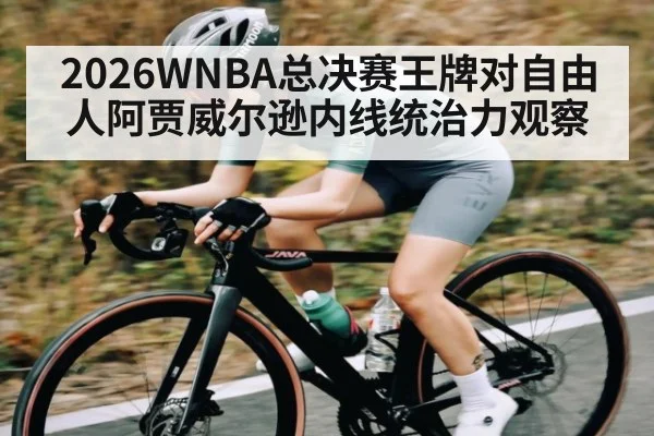 2026WNBA总决赛王牌对自由人阿贾威尔逊内线统治力观察